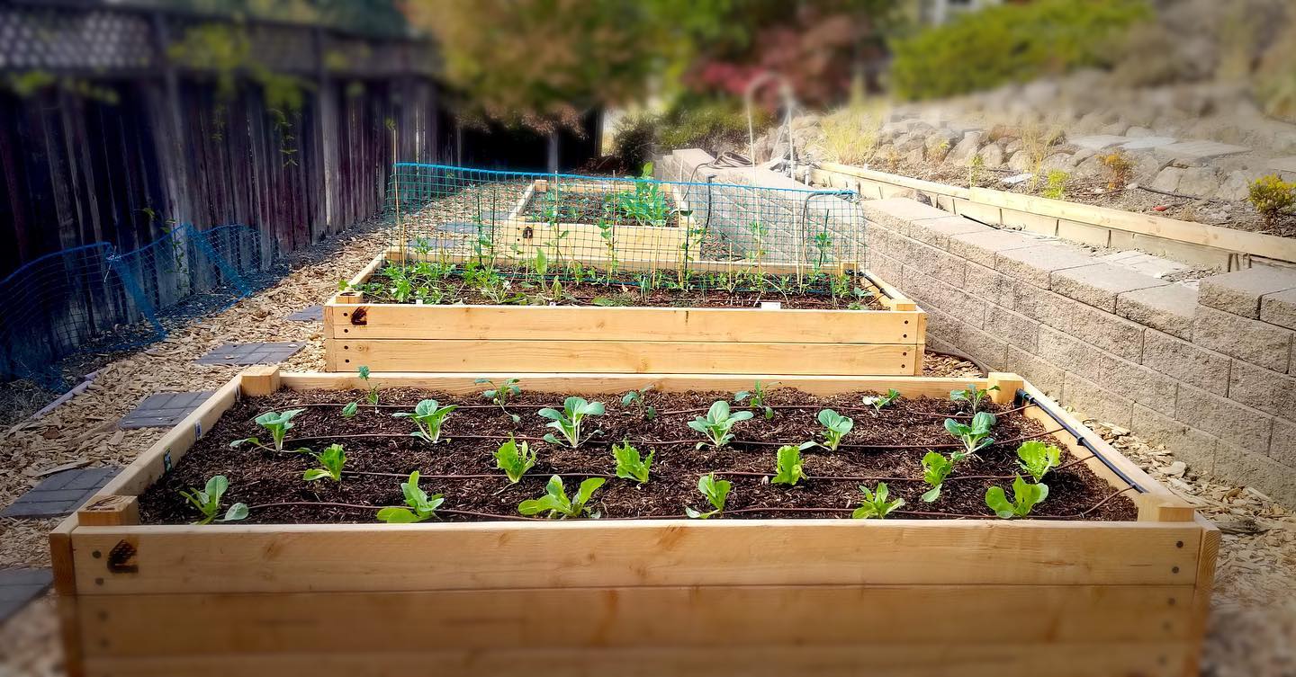 1-on-1 Garden Coaching